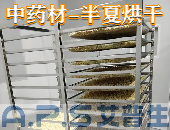 中藥材半夏烘干，除了傳統(tǒng)的烘干方法，首選推薦使用艾普生空氣能熱泵烘干機